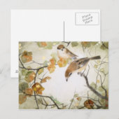 Little Creature-Bull-kopse Shrikes Briefkaart (Voorkant / Achterkant)