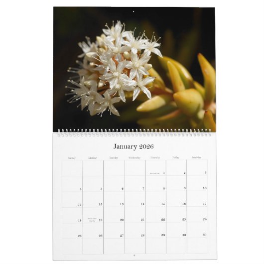 Little Critters 2014 Calendar Kalender (Jan 2026)