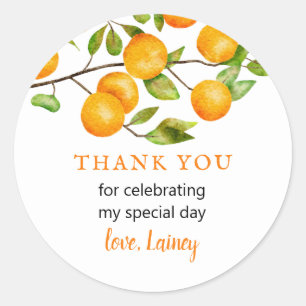 Little Cutie Oranje Birthday Party Favor Ronde Sticker