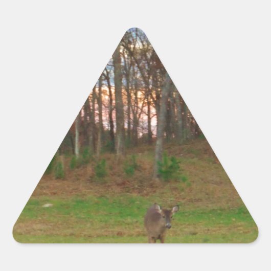 Little Deer &a Pink Sunset Driehoek Sticker (Voorkant)