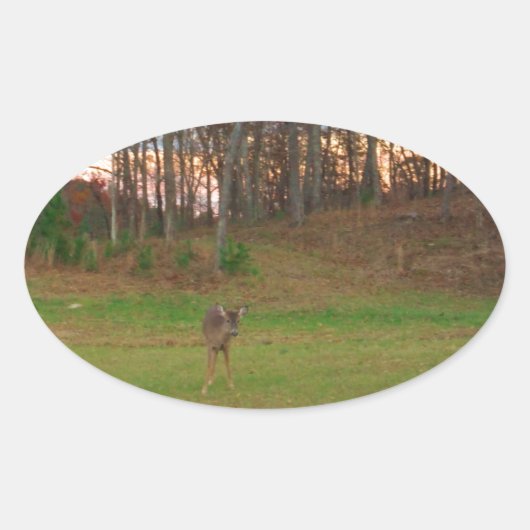 Little Deer &a Pink Sunset Ovale Sticker (Voorkant)