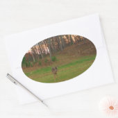 Little Deer &a Pink Sunset Ovale Sticker (Envelop)