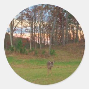 Little Deer &a Pink Sunset Ronde Sticker