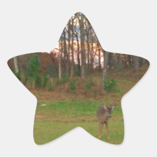 Little Deer &a Pink Sunset Ster Sticker
