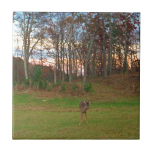 Little Deer &a Pink Sunset Tegeltje