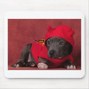 Little Devil Muismat