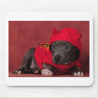 Little Devil Muismat