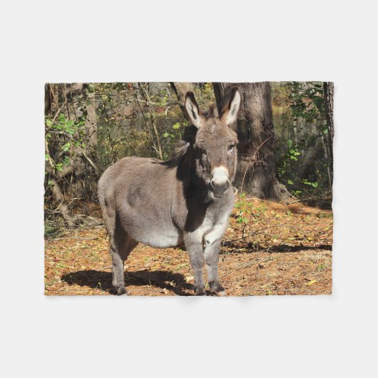 Little Donkey Fleece Deken (Voorkant (Horizontaal))
