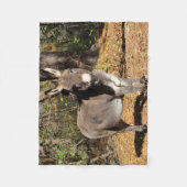 Little Donkey Fleece Deken (Voorkant)