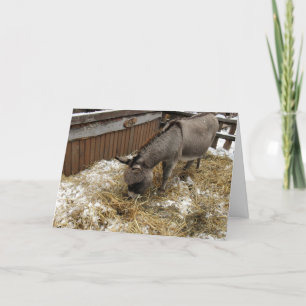 Little Donkey Kerstmis Feestdagen Kaart