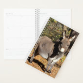 Little Donkey Planner (Display)