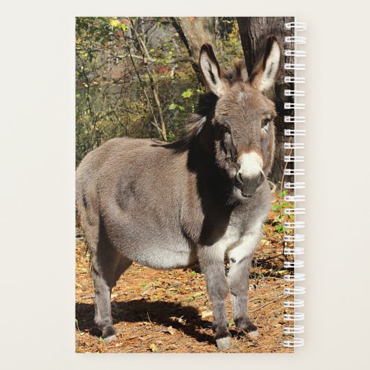 Little Donkey Planner (Achterkant)