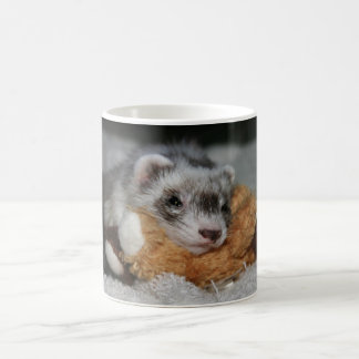 Little Dooks Penny Mok