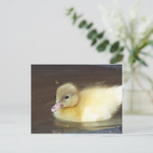 Little Duck Briefkaart (Staand voorkant)