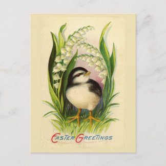 Little Easter Bird Briefkaart