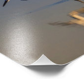 Little egret foto afdruk (Hoek)