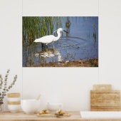 Little Egret Poster (Keuken)