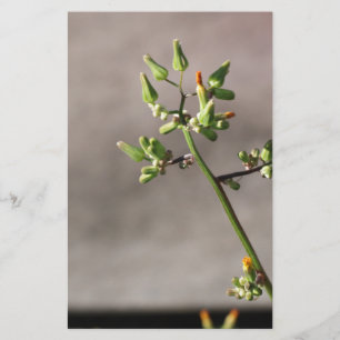 Little Flower Buds Briefpapier