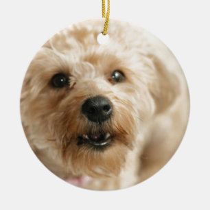 Little Geweldige Abby the Yorkie Poo Keramisch Ornament