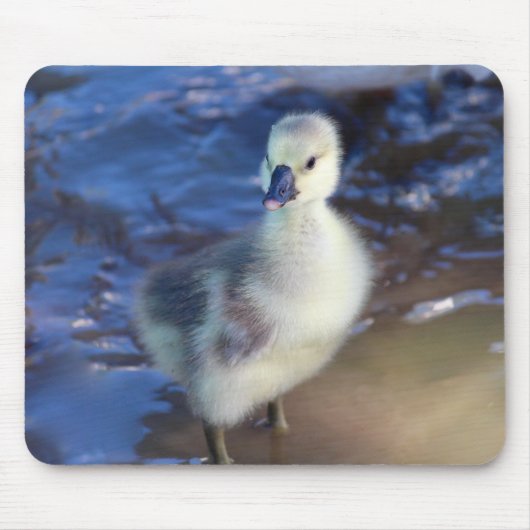 Little Gosling Mousepad Muismat (Voorkant)