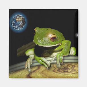 LITTLE GREEN FROG MAGNEET