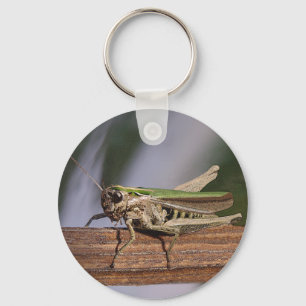 Little Green Grasshopping Keyring Sleutelhanger