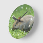 Little Grey Bunny Ronde Klok (Hoek)