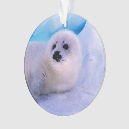 Little Harp Seal Pup bekleed in Snowflakes Ornament (voorkant)