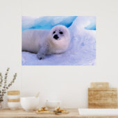 Little Harp Seal Pup bekleed in Snowflakes Poster (Keuken)