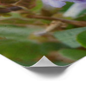 Little Henbit Poster (Hoek)