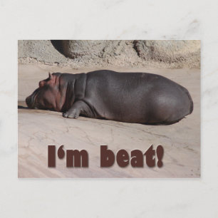 Little Hippo vertelt alles Briefkaart