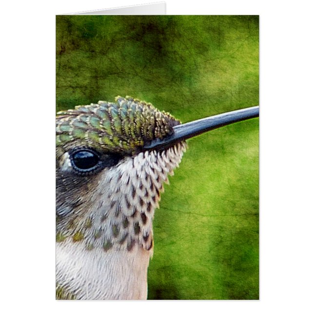 Little Hummer (Devant)
