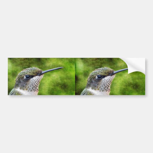 Little Hummer Bumpersticker (Voorkant)