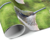 Little Hummer Cadeaupapier (Rol Hoek)