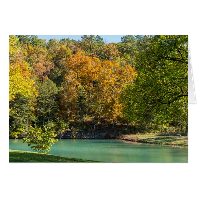 Little Indian Goldie (Devant Horizontal)