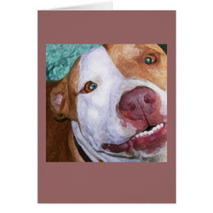 Little Johnny Sparkles