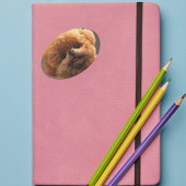 Little Joys, Big Heart