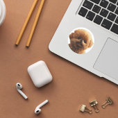 Little Joys, Big Heart