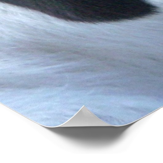 Little Kind Face Poster (Hoek)