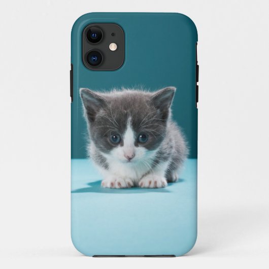 Little Kitten Case-Mate iPhone Case (Achterkant)