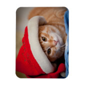 Little Kitten in Red kerstPet Magneet (Verticaal)