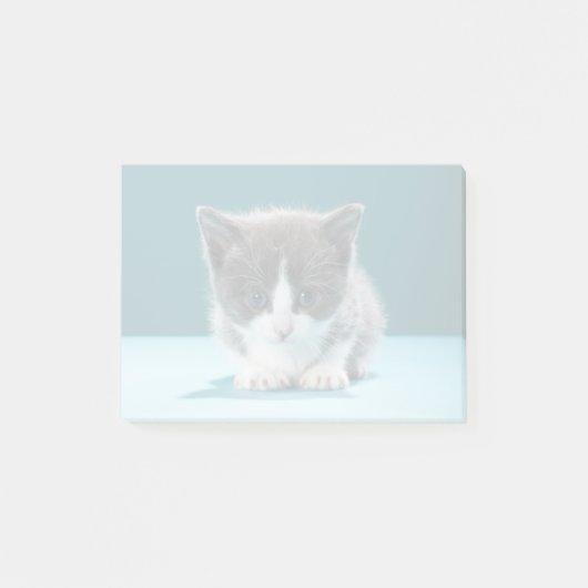 Little Kitten Post-it® Notes (Voorkant)