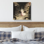 Little kitty canvas afdruk (Insitu (Slaapkamer))