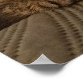 Little kitty poster (Hoek)