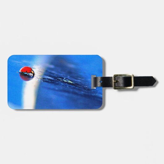 Little Lady Bagagelabel (Voorkant horizontaal)