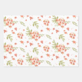 Little Ladybug Floral Waterverf drie Pack Inpakpapier Vel (Voorkant 2)