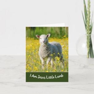 Little Lamb Baptism Wenskaart Feestdagen Kaart