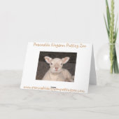 Little Lamb Birthday Kaart (Achterkant)