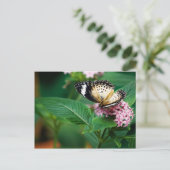 Little Leopard Wings Briefkaart (Staand voorkant)