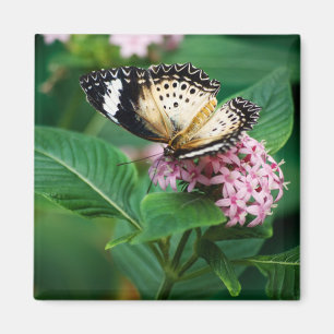 Little Leopard Wings Magnet Magneet